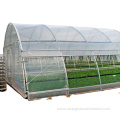 Aqua hydroponics,Poly-houses Structure project